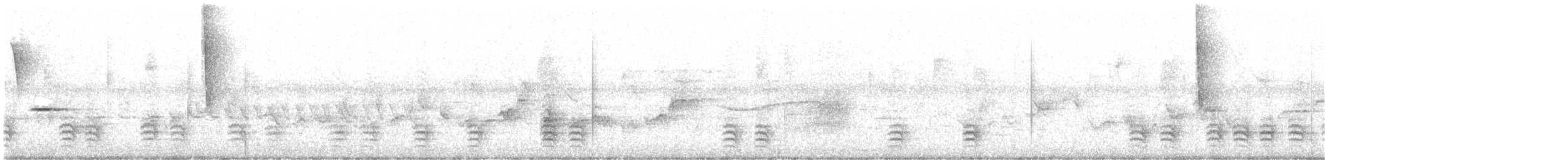 Weißbrustkleiber - ML166752781
