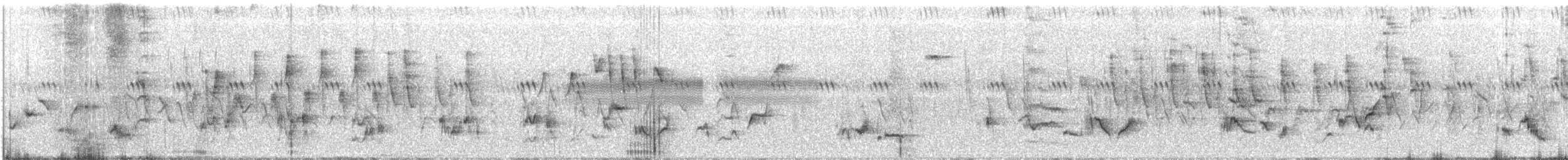 Brown Thrasher - ML166756411