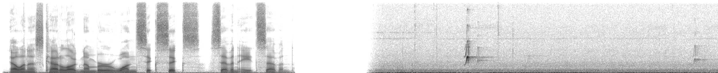 Boz Alınlı Sinekkapan (tyrannulus/bahiae) - ML166787