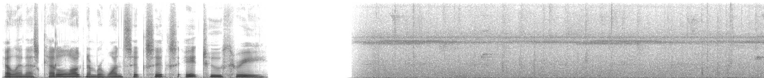 Белошапочная пипра (anthracina) - ML166823