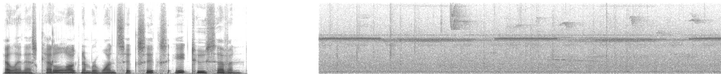 Manakin à tête blanche (anthracina) - ML166827