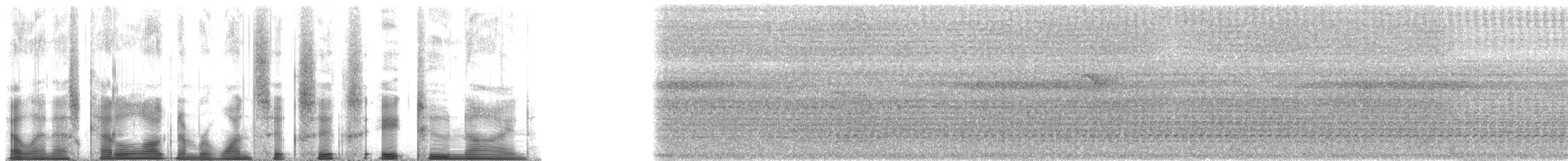 Manakin à tête blanche (anthracina) - ML166829