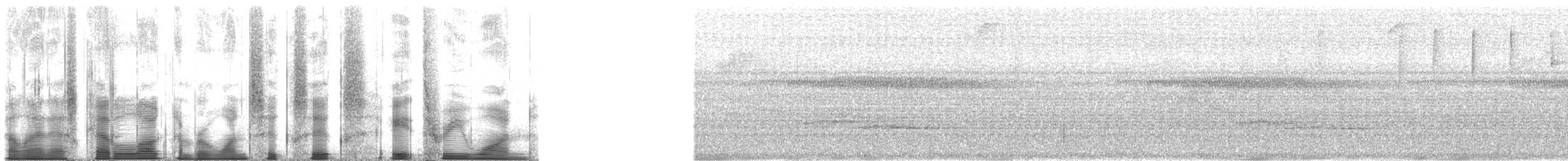 シロボウシマイコドリ（anthracina） - ML166831