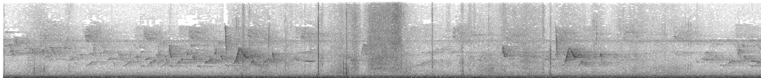 Поплітник каролінський - ML166851271