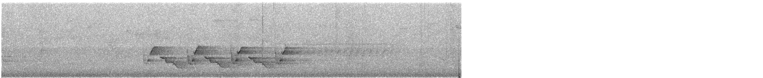 Поплітник каролінський - ML166881091