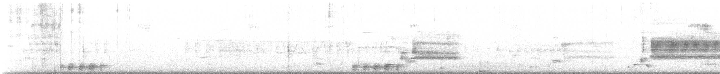 pygmérørdrum - ML166915141