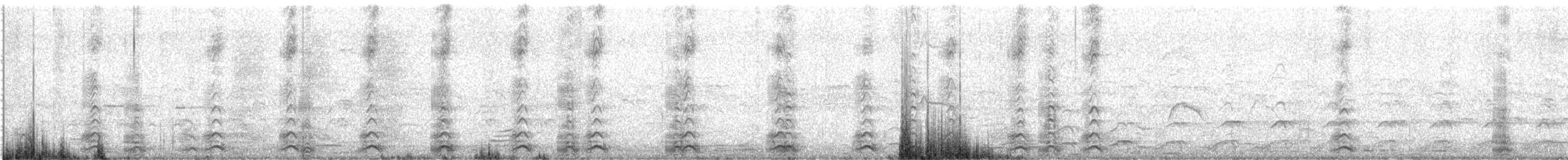 Western Gull - ML166944101