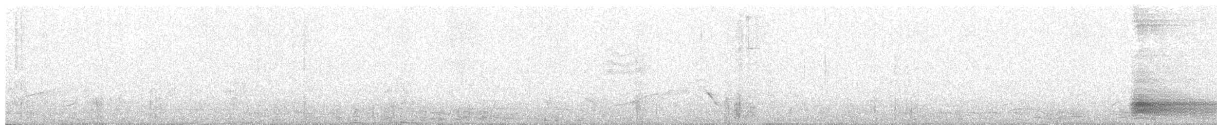 Barred Antshrike - ML166960361