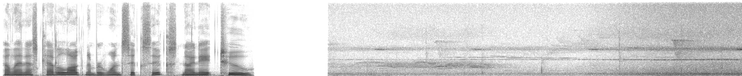 Тоутоваї-світлоок сірий - ML166982