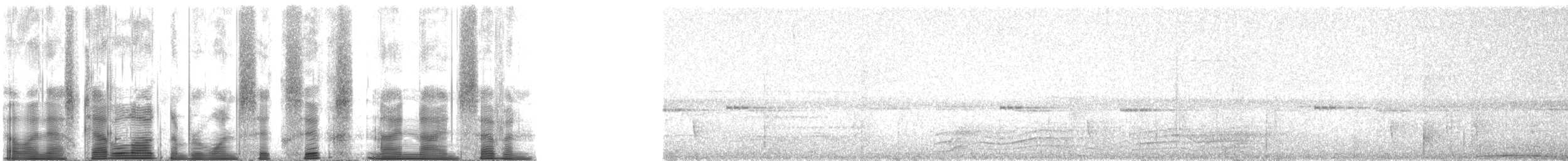 Дивоптах-серподзьоб східний - ML166997