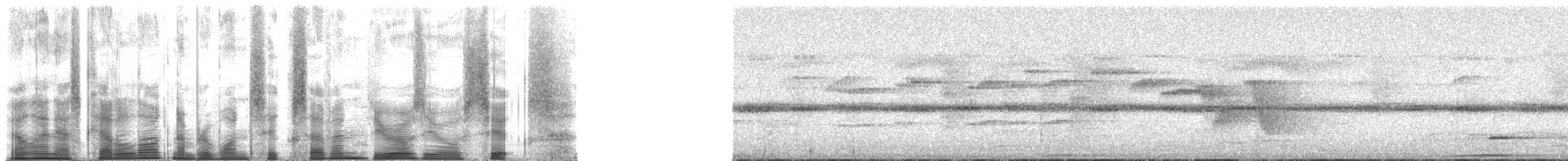 Дивоптах-серподзьоб східний - ML167006