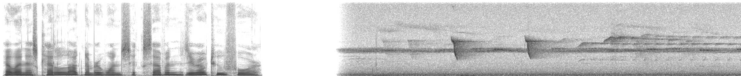 Slaty-chinned Longbill - ML167024