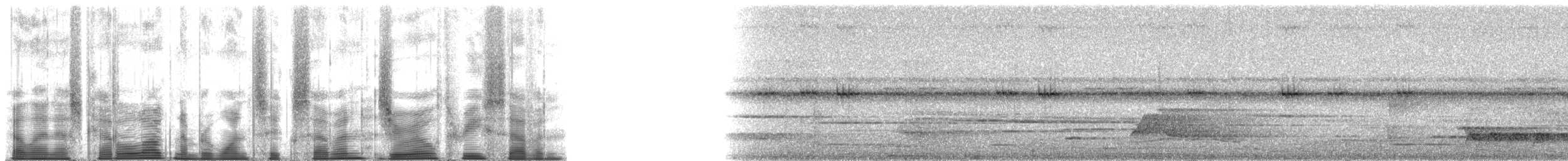 hvitkronegjøk - ML167037