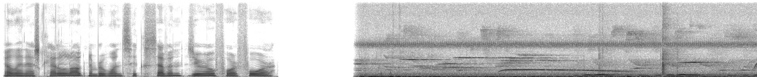 holub horský - ML167044