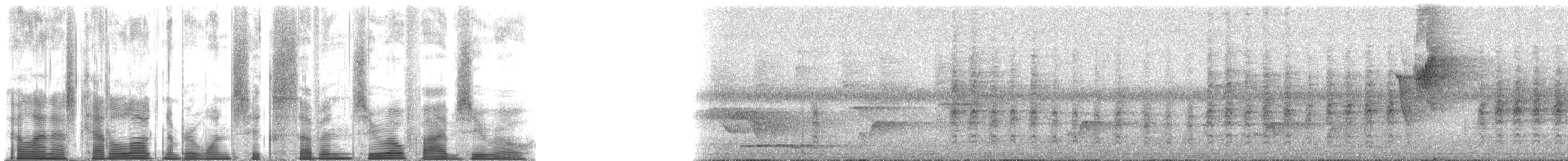 Slaty-chinned Longbill - ML167050