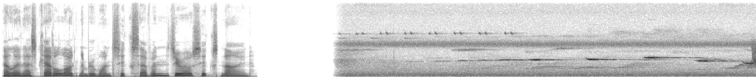 Gray Whistler (Gray-headed) - ML167069