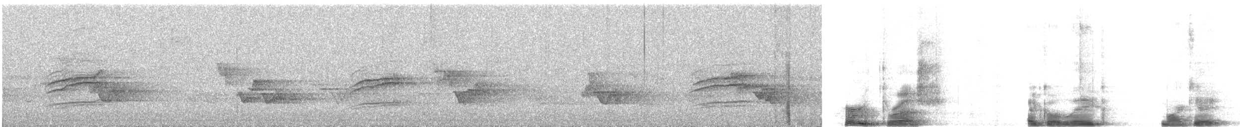 Дрізд-короткодзьоб плямистоволий - ML167071441