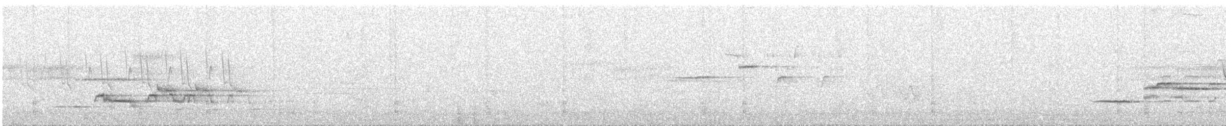 Дрізд-короткодзьоб плямистоволий - ML167071471
