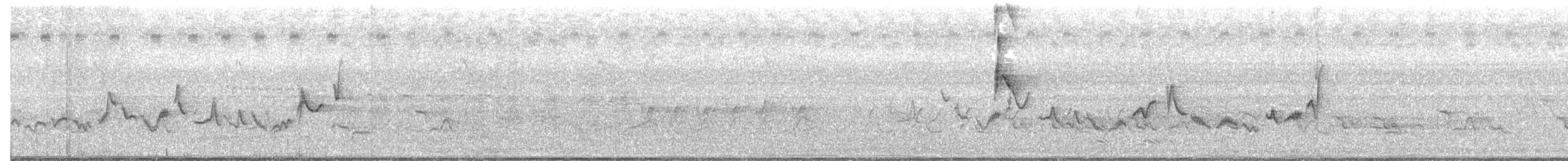 Віреон світлобровий (підвид gilvus) - ML167078411
