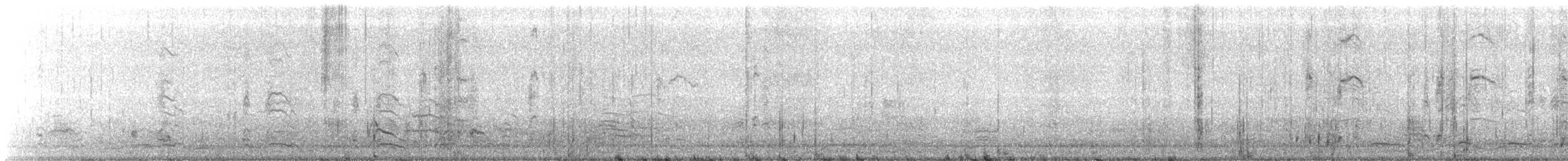 buřňák galapážský (tmavá křídla) - ML167090471