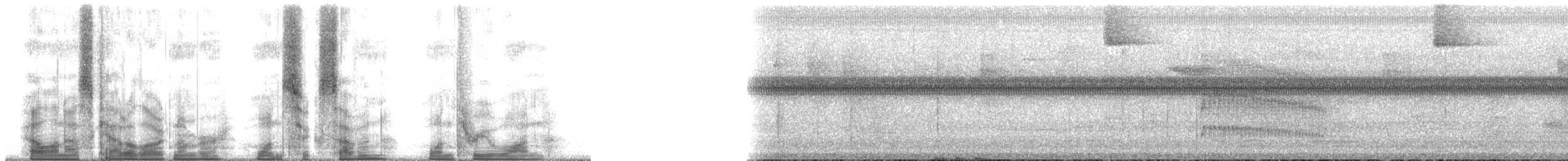 Troglodyte rufalbin - ML167131