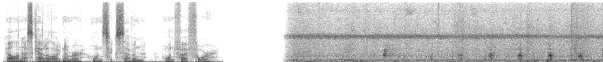 Toucanet à gorge blanche (lautus) - ML167154