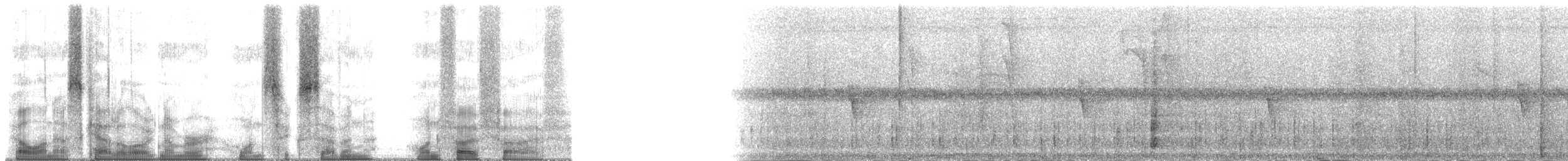 Troglodyte à poitrine grise (bangsi) - ML167155