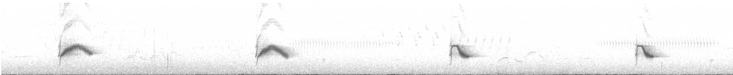 Bicknell Bülbül Ardıcı - ML167157871