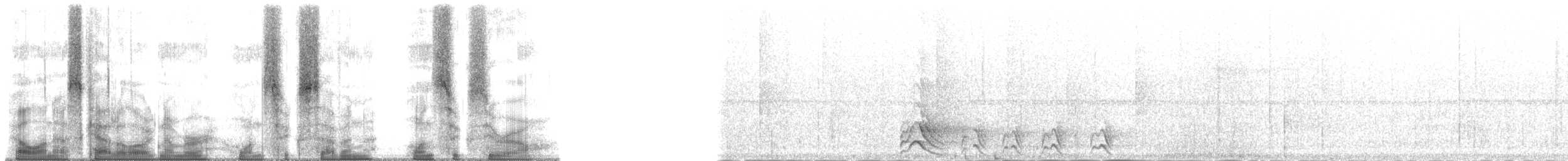 Beyaz Kuyruklu Ketzal - ML167160