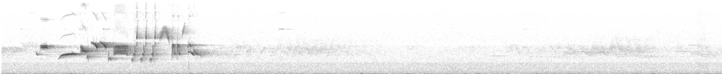 revespurv (megarhyncha gr.) (tykknebbrevespurv) - ML167185081