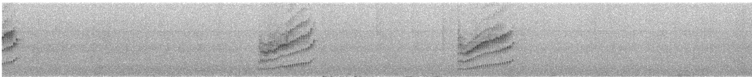 Поплітник плямистий - ML167189361