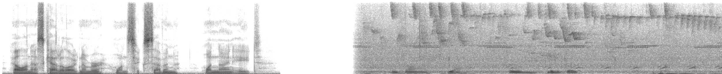 Toucanet à bec sillonné (calorhynchus) - ML167198