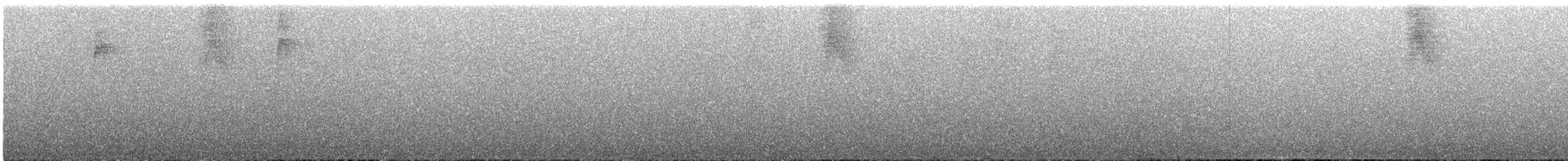 Белобрюхий солнечник - ML167238831