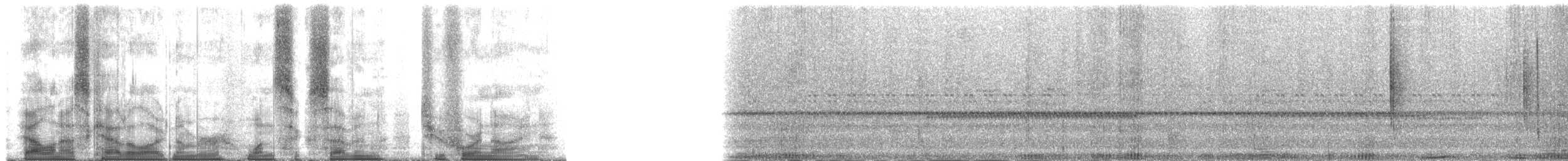 Колібрі-лісовичок фіолетоволобий (підвид colombica/rostrifera) - ML167249