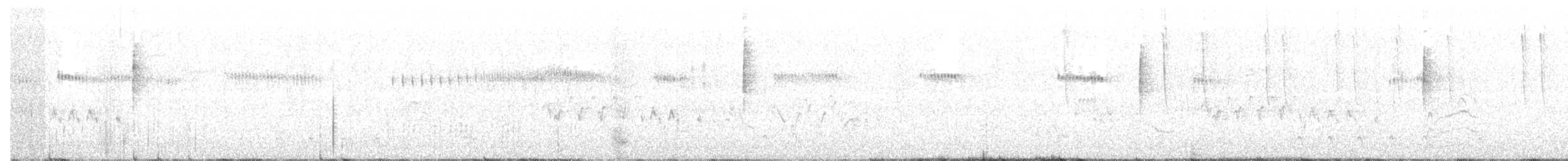 Широкохвостый колибри - ML167271671