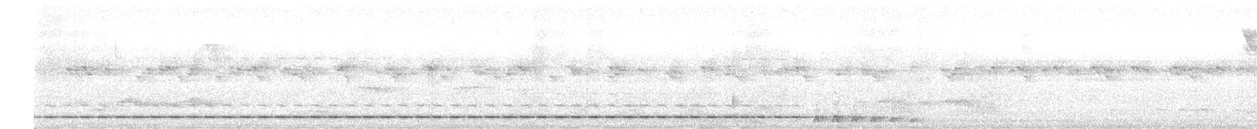 Short-tailed Antthrush - ML167274221