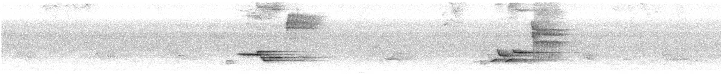Wood Thrush - ML167282711