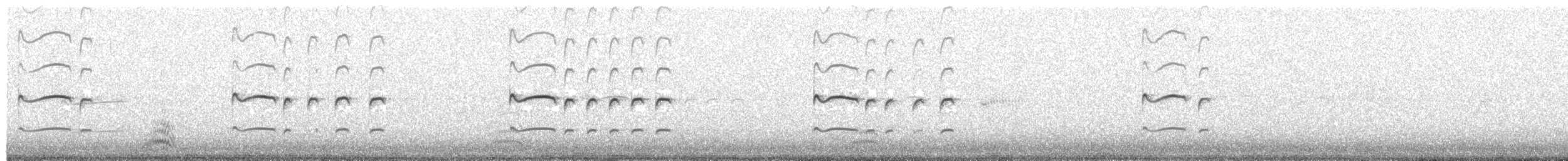 Kildir txirritxoa - ML167361181