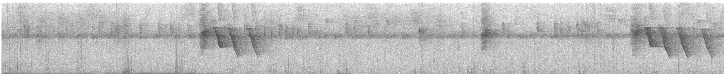 Kuzeyli Kara Yüzlü Kocabaş - ML167371631