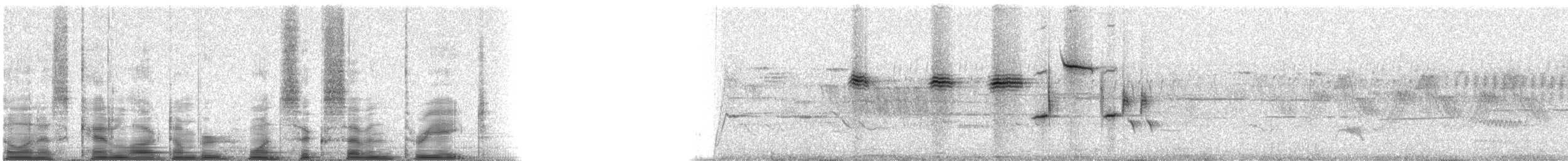 Song Sparrow - ML16738