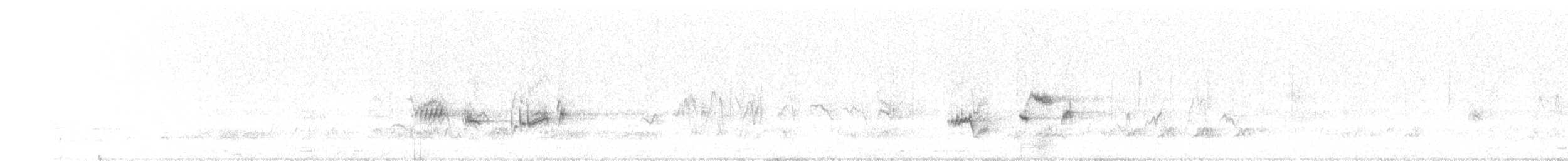 hekkskvett (galactotes gr.) - ML167392861