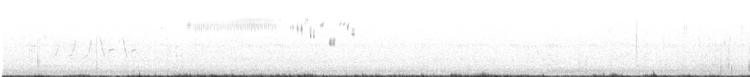 Кузнечиковая овсянка-барсучок - ML167393481