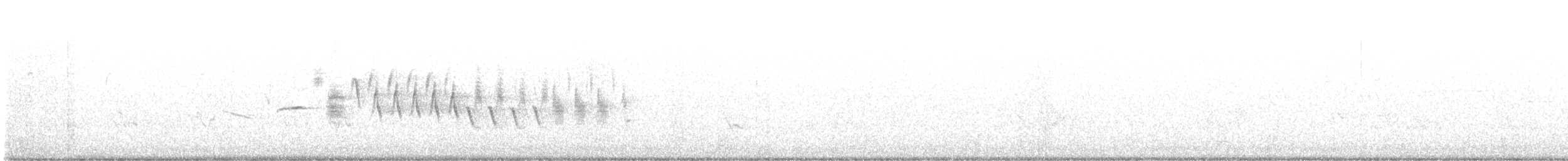 オジロヒメドリ - ML167393551