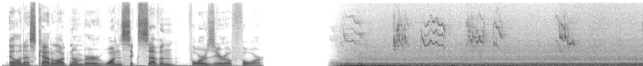 Zostérops gris - ML167404