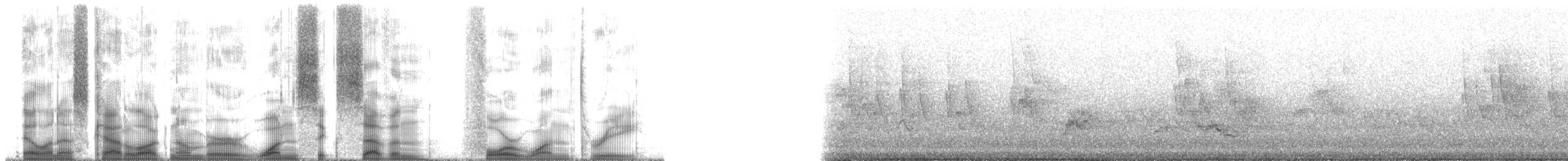 Zostérops gris - ML167413