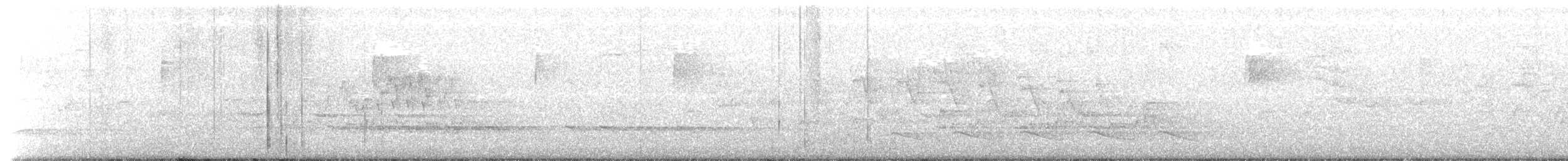 Cerulean Warbler - ML167470501
