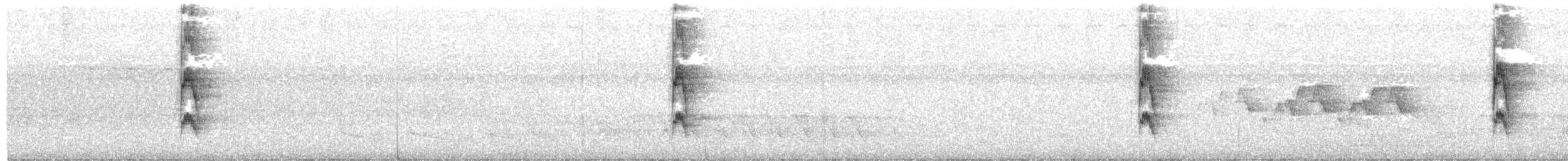 Red-cockaded Woodpecker - ML167494361