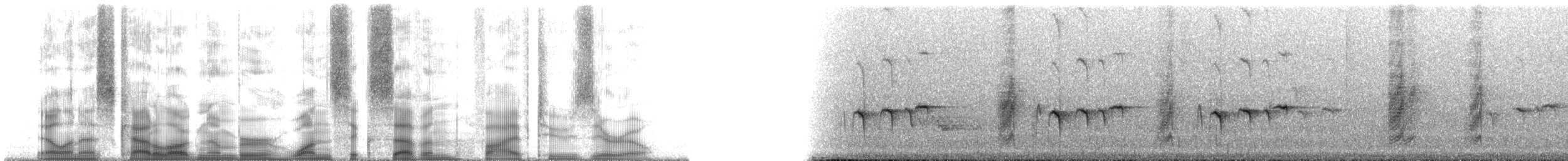 Маскаренская райская мухоловка - ML167520