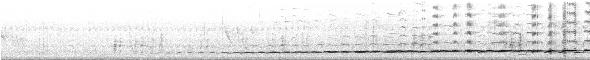 Зозуля білогорла - ML167527211