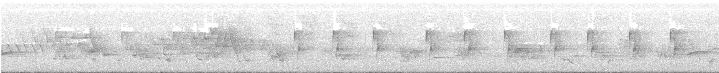 Least Flycatcher - ML167539041
